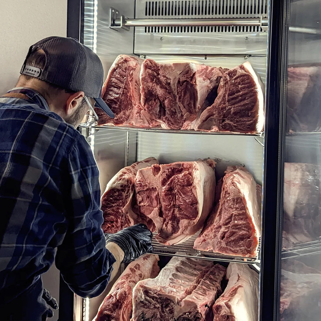 Reserve 300C Commercial Dry Aging Cabinet